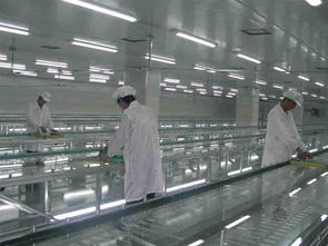 原來選擇化妝品oem代加工有如此多的優勢