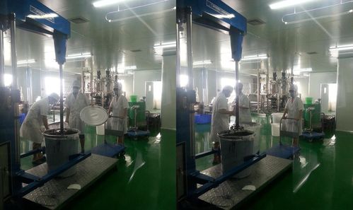 貝源素工廠生產貝源素生態涂料的詳細流程