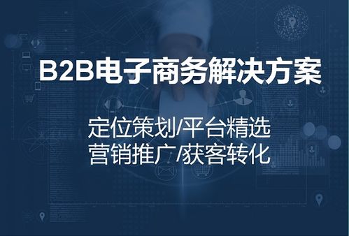 數字時代的企業增長引擎 整合網絡推廣與銷售的營銷策略