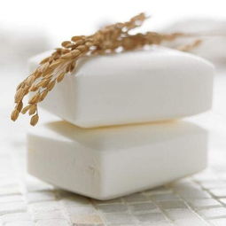 彪盛日用品 品質(zhì)生活的全方位守護(hù)者